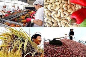 Phụ nữ tuổi này dễ có
