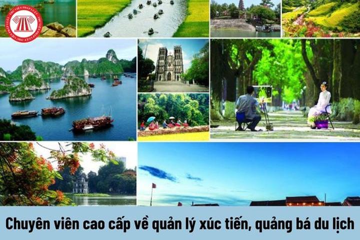 Chuyên gia Hotspot Matrix phân tích: 4 kiểu áo không thể thiếu và marketing video