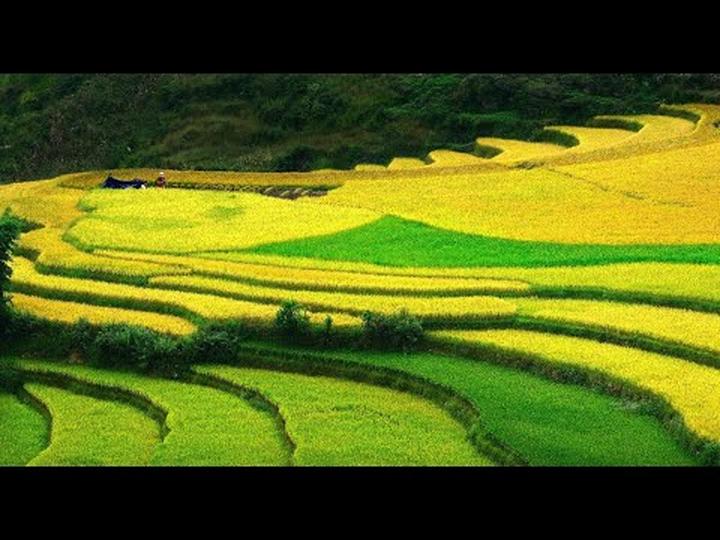 Xu hướng Bùng nổ phong cách cùng bộ: Hotspot Matrix tiết lộ bí quyết video viral