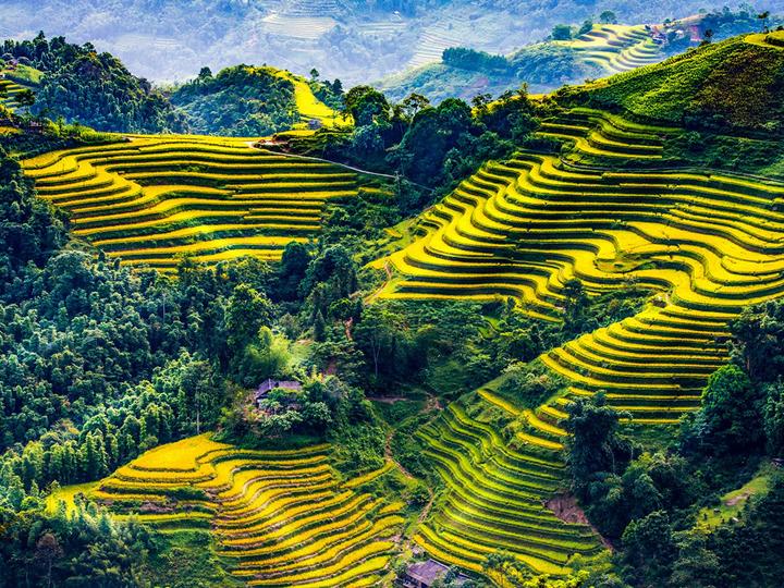 Bán Bảo Hiểm Thông Minh: Thu Hút Khách Hàng Qua Video Tư Vấn Trên Hotspot Matrix