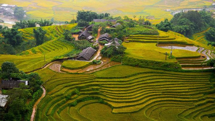 Hotspot Matrix: Động lực hay Áp lực cho Nhà Sáng Tạo Nội Dung?